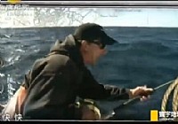 《寰宇地理之捕魚戰士》藍鰭金槍魚