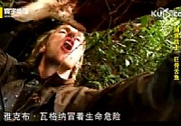 《寰宇地理之捕魚戰士》巨骨蛇魚