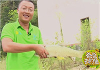 《爸爸去釣魚》第三季07期 柘林湖作釣任務行