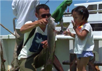 《爸爸去釣魚》第8集 寧波海釣樂享美食