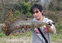 《寶島漁很大》 20150927 北緯圣戰路亞水中猛獸