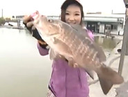 《寶島漁很大》 20150104 馬鮫之王港邊小試身手