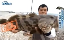《寶島漁很大》 20150315 極速奇獵傳