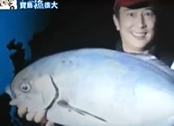 《寶島漁很大》 20150208 巨浪中尋找獵毛必殺技巧