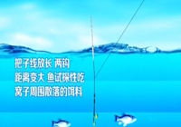 《垂釣學院》化氏釣技訓練營第二季22 化老講解傳授黑坑釣技