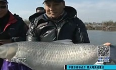 《垂釣學院》化氏釣技訓練營第二季28 化紹新冬釣黑坑(四)