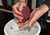 《垂釣學院》化氏釣技訓練營第三季09 化紹新講解餌料使用技巧
