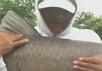 《垂釣學院》化氏釣技訓練營第二季16 暮夏之釣(三)西盤水庫釣大青