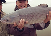 《垂釣學院》第三季74期 低溫釣青魚用餌技巧