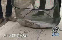 《垂釣學院》化氏釣技訓練營第二季32 黑坑釣獲大青魚