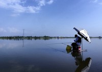 《垂釣學院》化氏釣技訓練營第三季17 化紹新講解浮漂的調釣技巧