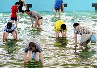 《中國垂釣周刊》第21期 休閑捕魚運動背后存生態隱患