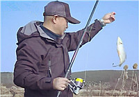 《中國垂釣周刊》20170226 野釣風流行2017垂釣圈