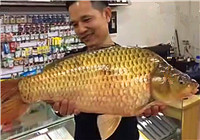 《中國垂釣周刊》20170305 廣東釣友擒獲4.95kg鯽魚打破全國紀錄