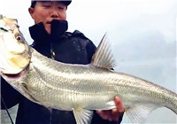 《中國垂釣周刊》20170409 湖北路亞釣友圣水湖擒獲5kg的翹嘴