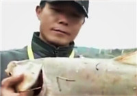 《中國垂釣周刊》第34期 廣東惠州150人捕魚大賽完滿落幕