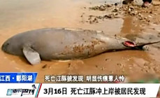 《中國垂釣周刊》第9期 禁漁期 首投無人機巡航