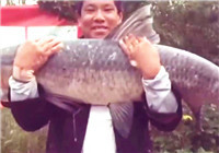 《中國垂釣周刊》第67期 釣友蔡景申擒獲大青魚
