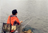 《餌目一新》20161118期 陳治海分享狂釣小鯽魚的技巧