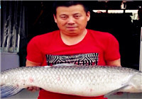 《餌目一新》20160909期：秋季黑坑釣大青魚心得