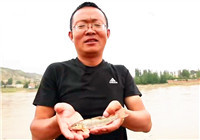 《鉤尖上的中國》20161120 黃河探釣鴿子魚