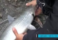 《海洋戰士》第27集 漁山冬季海釣路亞鱸魚