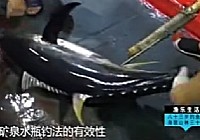 《海洋戰士》第20集 征戰南中國海二斬巨型銀槍魚