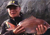 《海洋戰士》第52集 浙江嵊山島磯釣洄流真鯛