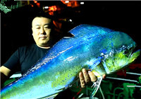 《海洋戰士》20170223 東海深井搏擊紅章魚