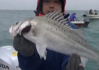 《海洋戰士》第36集 舟山海釣鱸魚