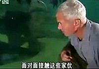 《海洋戰士》第16集 浪崗會石鯛