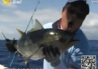 《海洋戰士》第25集 夢幻留尼汪