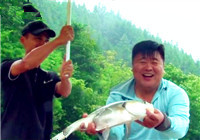 《江湖行》第184集 地靈水庫狂拔鰱鳙