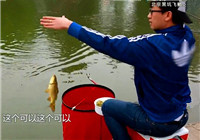 《江湖行釣魚視頻》177 北京黑坑體驗手竿釣鯽魚