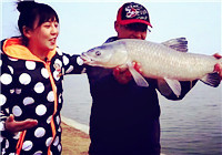 《江湖行》20170215 美女主持初春探釣大青魚