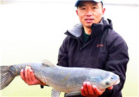 《江湖行》第209期 湖北仙桃戰巨青
