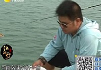 《江湖行釣魚視頻》54 江陵城尋巨青