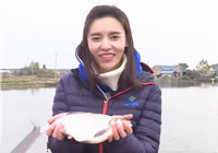 《江湖行》20171213 游釣無錫獵烏鯽
