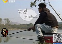 《江湖行釣魚視頻》66 庫戰草魚