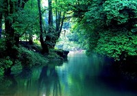 《江湖行釣魚視頻》149 印尼加里曼丹島探釣山河巨物(2)