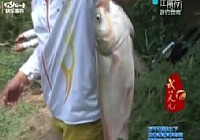《江湖行釣魚視頻》90 游釣晉南澮河水庫擒大鯉