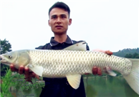 《江湖行》 第185集 八角塘水庫擒獲草魚