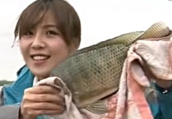 《江湖行釣魚視頻》115 湛江冬釣大羅非魚視頻