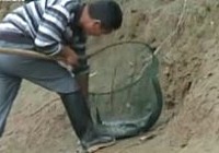 《江湖行釣魚視頻》15 芷江戰巨物