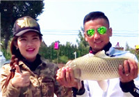 《江湖行》第194集 山西黑坑釣鯉魚之行