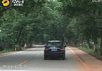 《江湖行釣魚視頻》25 益路鄉伴