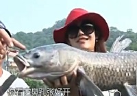 《江湖行釣魚視頻》112 徐銀舟臺灣釣大青魚(一)