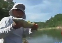 《江湖行釣魚視頻》96 江山戰巨青黃杰清口搏大物