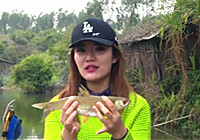 《江湖行釣魚視頻》170 廣西英雄水庫臺釣獲赤眼虹鱒