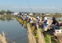 《江湖行釣魚視頻》147 游釣塞上江南寧夏黑坑釣鱘魚